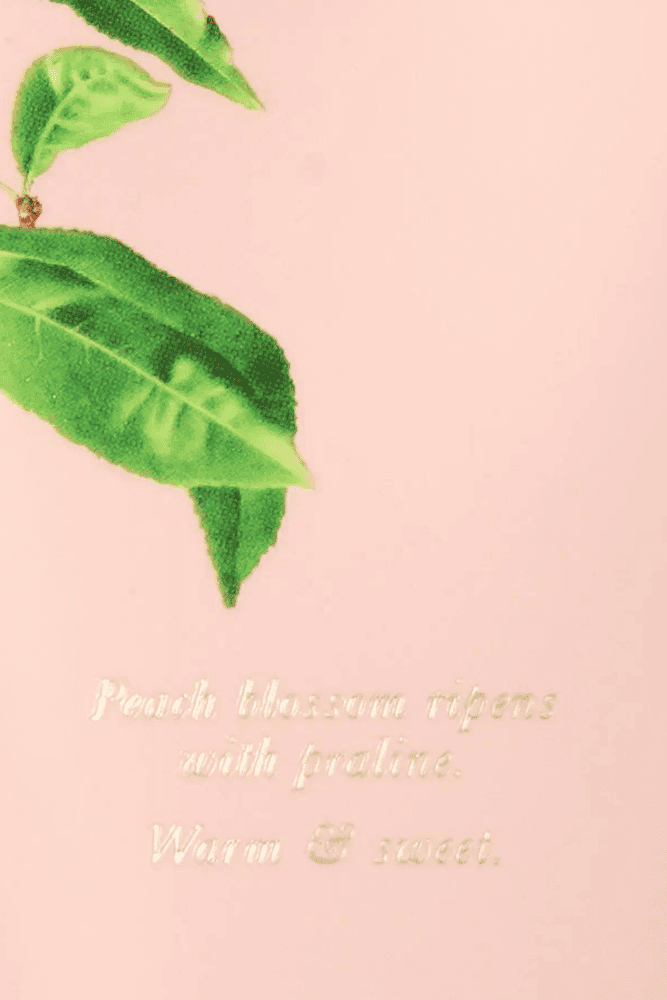 ЛОСЬЙОН SUNLIT NECTAR Victoria`s Secret ЛОСЬЙОН SUNLIT NECTAR Victoria`s Secret