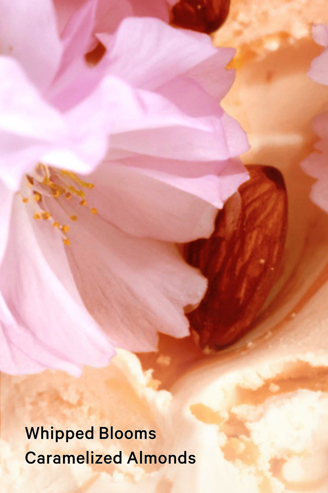 ЛОСЬЙОН VELVET PETALS BRULEE Victoria`s Secret ЛОСЬЙОН VELVET PETALS BRULEE Victoria`s Secret