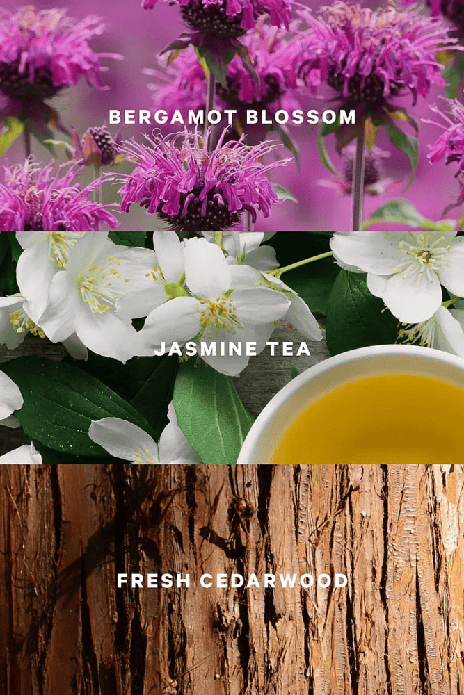 СПРЕЙ ДЛЯ ТІЛА JASMINE TEA SUNRISE Victoria`s Secret СПРЕЙ ДЛЯ ТІЛА JASMINE TEA SUNRISE Victoria`s Secret
