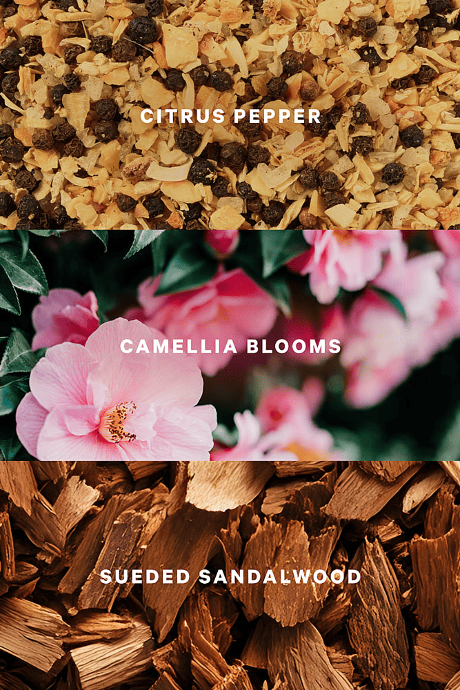 ЛОСЬЙОН CAMELIA SUNSET Victoria`s Secret